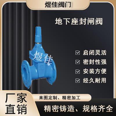 RVCX地理式软密封法兰闸阀SZ45X地下弹性座封直理阀门DN100150