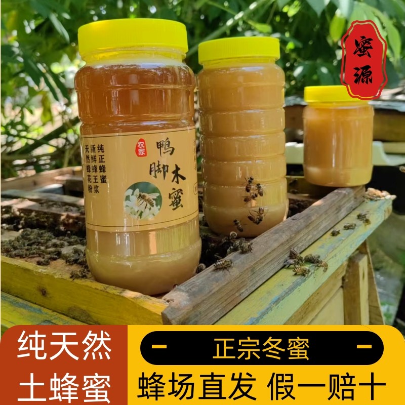 纯正宗天然冬蜜鸭脚木蜜农家自产野生土蜂蜜美容养生儿童孕妇500g