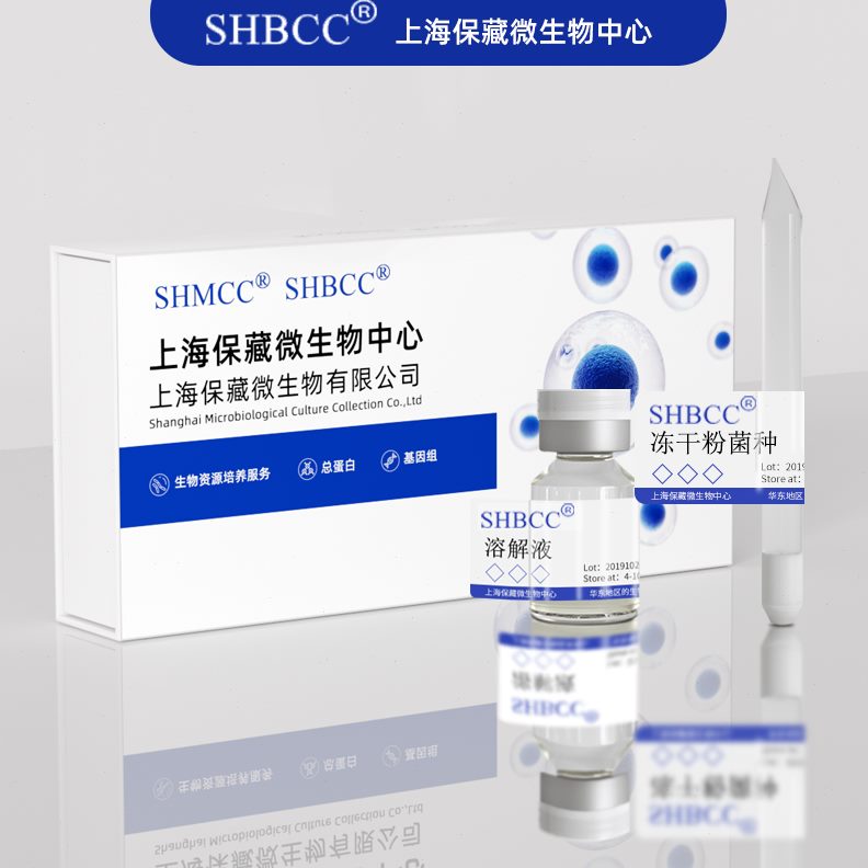 模菌株酵母麦芽式25 培养基22S非逊H℃培养D脂汉3B汁琼星CC56土