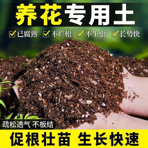 养花专用营养土家用种菜种植泥炭土壤盆栽植物通用型发酵腐殖土