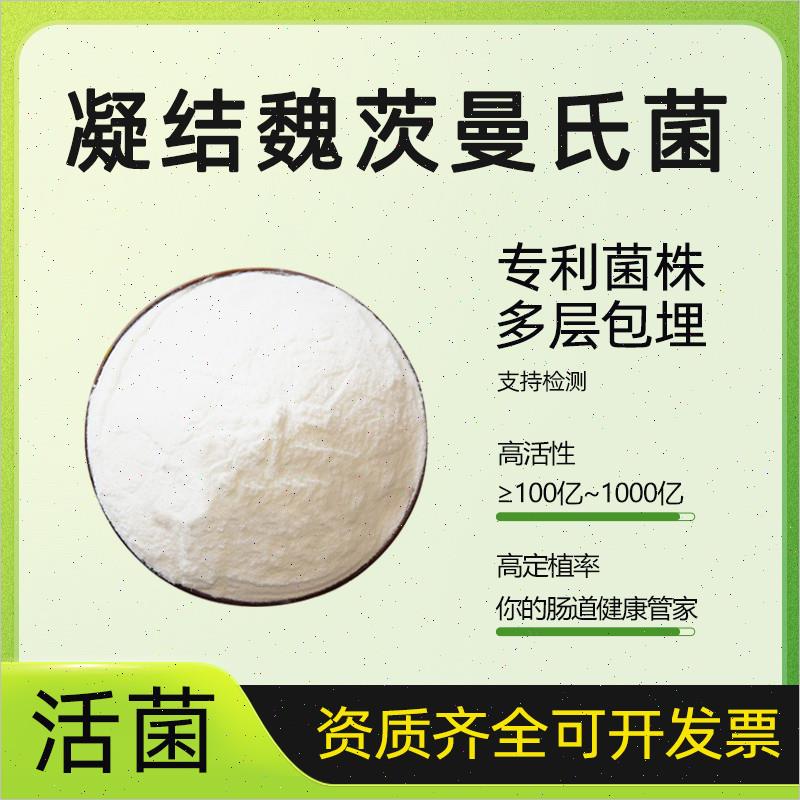 凝结魏茨曼氏菌凝结芽孢杆菌发酵酸奶乳酸菌水溶冻干型益生菌菌S