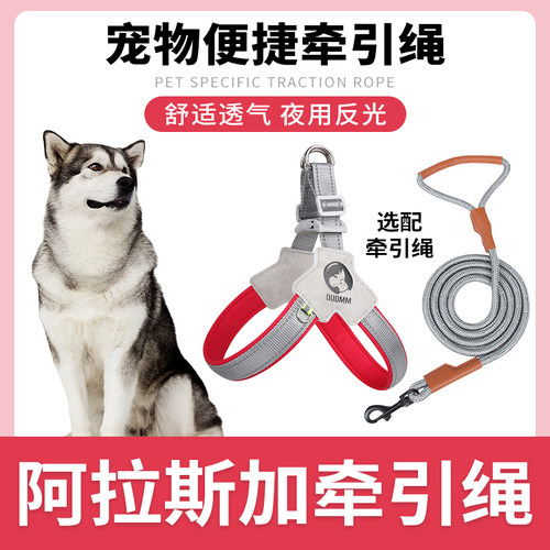 阿拉斯加专用狗狗胸背带牵引绳中小型犬脖圈背心式遛狗绳宠物项圈
