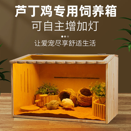 芦丁鸡饲养箱笼子宠物养殖专用箱小鸡箱子仓鼠笼子窝房子全套观赏