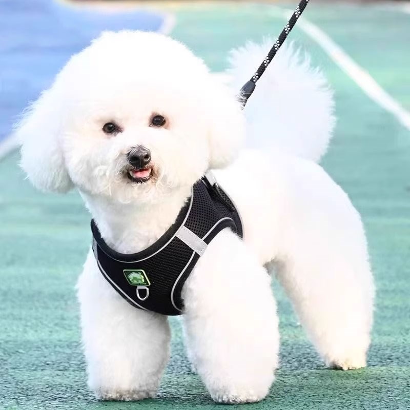 背心式狗狗牵引绳小型犬比熊泰迪博美小狗幼犬胸背带遛狗绳狗链子