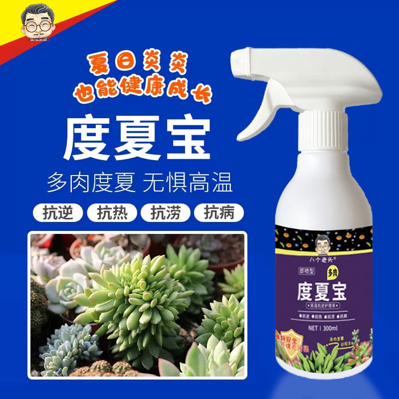 多肉度夏宝防黑腐多肉p度夏卫士多肉渡夏宝黑腐病专用根急救宝肥