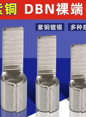 紫铜DBN插片型冷压接线端子插针形线耳铜鼻子1.25/2/5.5-10/14/18
