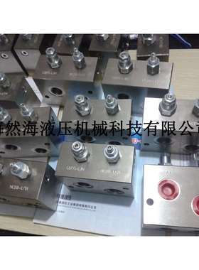 RDDA-LSN-FBP/M-RDDA-LEN-FBXSUN进口液压集成块