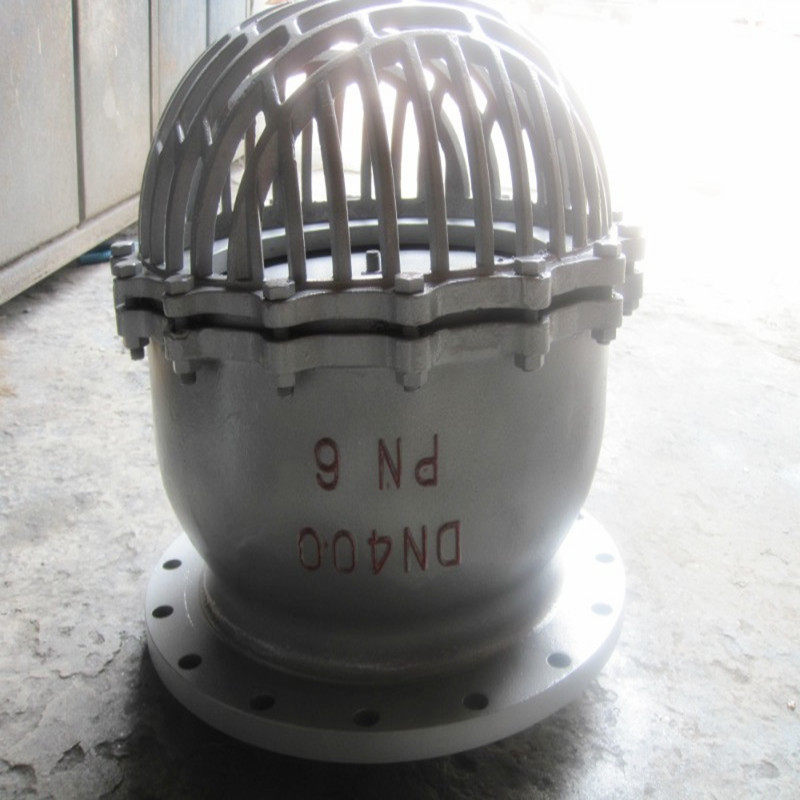 铸钢法兰底阀H42W-6P16P铸钢水泵吸水底阀DN100升降式井底阀DN50