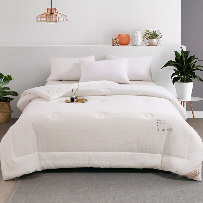 小绵羊A类水洗糯棉抗菌四季被全棉被芯春秋被子家用单人1.6双人2m