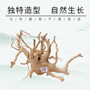 寄居蟹攀爬杜鹃根摆件一物一拍鱼缸天然造景森林木头小号枯木树桩