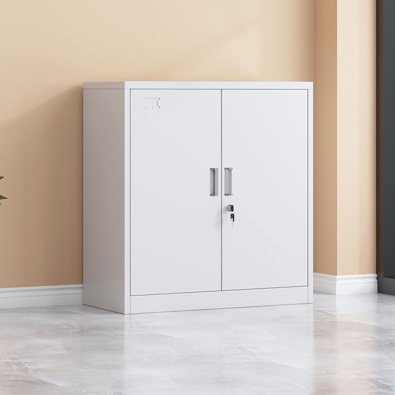 办公室对开矮柜文件柜铁皮书柜收纳柜财务凭证档案资料带锁储物柜