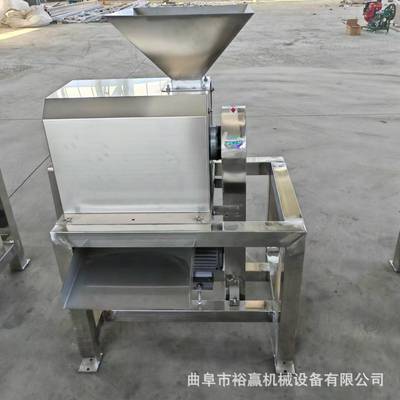 大型金桔去皮去核打浆机芒果蓝莓去核打浆机枣泥山楂泥加工设备