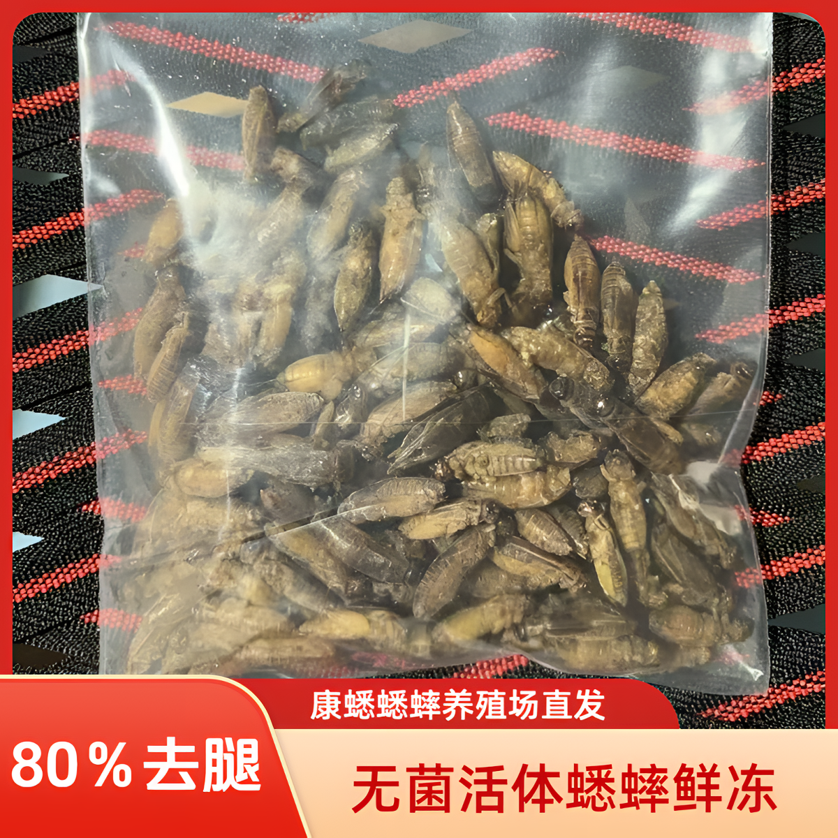 鲜冻蟋蟀冻干蟋蟀冻品冷冻蟋蟀守宫爬宠活冻蟋蟀食用级别绿色卫生,宠物/宠物食品及用品,爬虫/鸣虫食物,淘宝优惠券,粉丝福利购,淘宝优惠卷