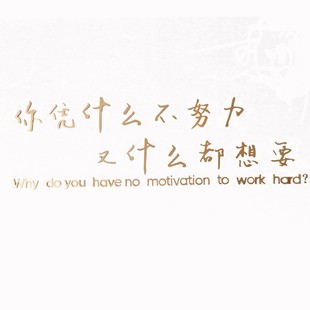 办公室公司激励标语企业团队文化墙面装 饰文字语录立体励志墙贴