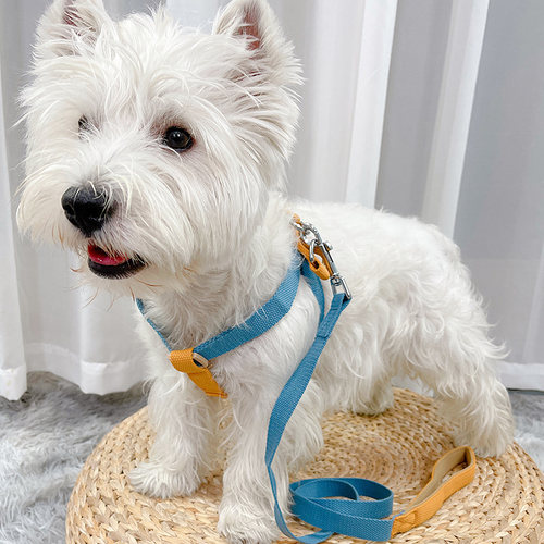 狗狗牵引绳狗绳宠物用品遛狗绳胸背带防挣脱泰迪绳子猫咪背带牵引