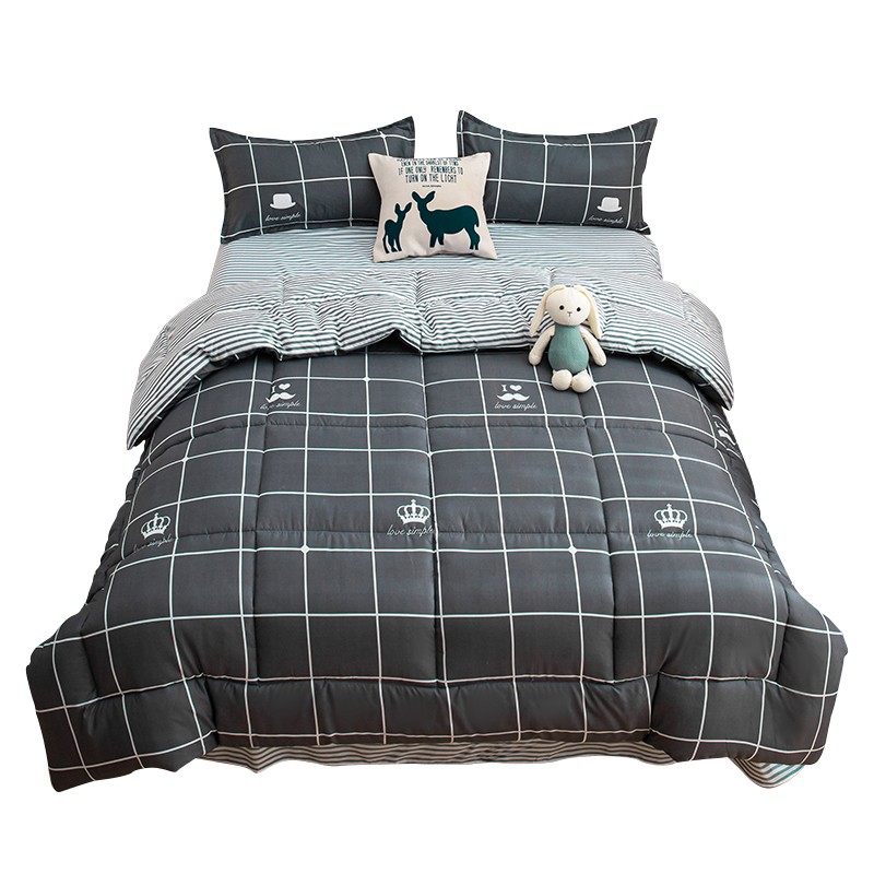 被子冬被丝绵被被芯学生宿舍单人棉被冬天加厚保暖空调被被褥冬季