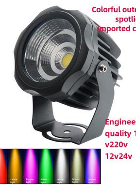 户外射灯led防水绿光黄光蓝光照树灯cob聚光超亮12V24v投光灯110V