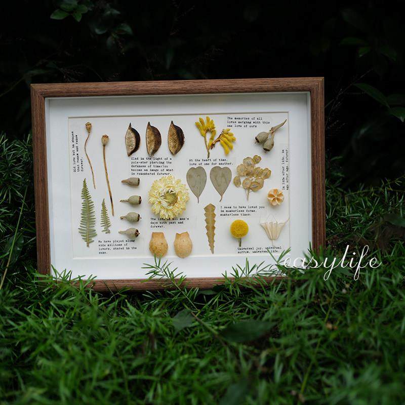 复古植物标本相框摆台 客厅墙面装饰侘寂风装饰挂画 小众礼物,家居饰品,标本类装饰画,淘宝优惠券,粉丝福利购,淘宝优惠卷