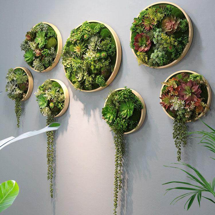 圆形壁挂仿真植物壁饰墙面装饰多肉挂件家居饰品组合创意立体挂画,家居饰品,壁饰,淘宝优惠券,粉丝福利购,淘宝优惠卷