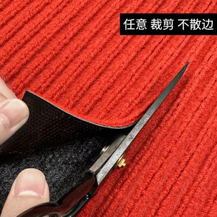地毯整铺门垫进门商用酒店门口大面积脚垫走廊防水防滑入户门地垫