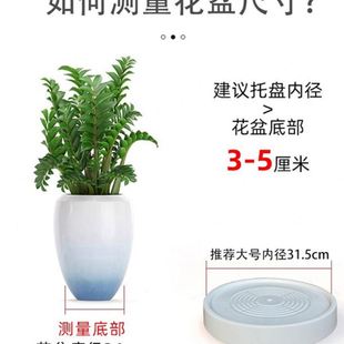 花盆托盘圆形带轮可移动塑料底座万向轮多肉绿萝花盆滑轮托盘