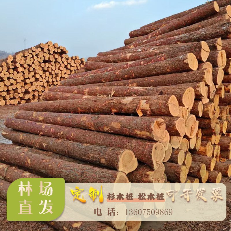 松木原木桩河道护坡加固打桩木工程围堰油松木头桩U杉木桩围栏木