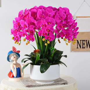 蝴蝶兰仿真花大号手感兰花盆栽假花客厅玄关大堂前台装饰花艺摆件