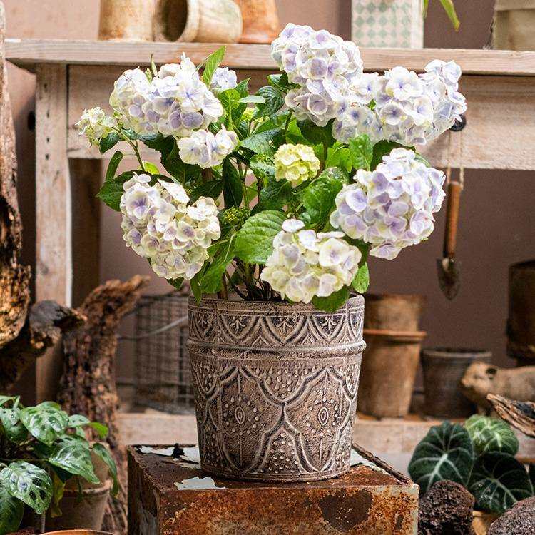 经典元素红陶花盆花器透气土培绿植种植插花阳台花园艺术花瓶