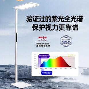 pro护眼1钢琴柏曼光谱学习练琴大骑士专用德国儿童落地灯全路灯铝