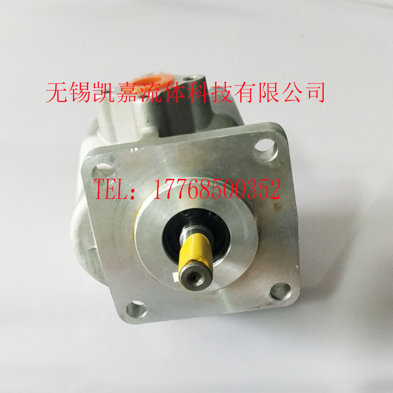 GPY-11.5R-4B/GPY-12-R 3R 4R 5R 6R 7R 8R 10R 11R GPY齿轮泵