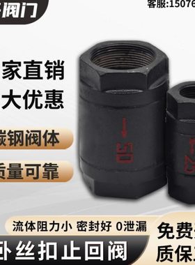 HT12-16丝扣单向阀立卧两用止回阀铜芯耐高温内螺纹止回阀铸铁