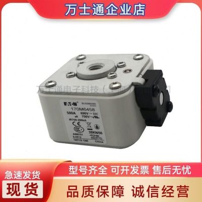 170M6544 170M6545 170M6546 170M6547 170M6548 170M6549熔断器