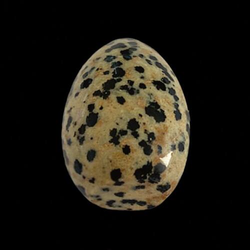 FYOGS | 'Egg' 蛋形香插家用线香室内书房点香器净化空气香炉摆件