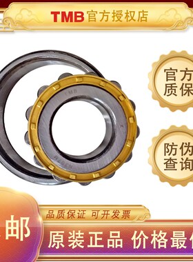 天马TMB轴承N203 N204 N205 N206 N207 N208 N209 N210 N211 N212