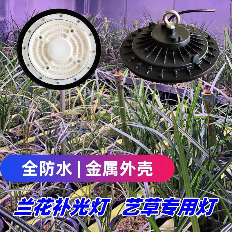 合鸣全防水 50W兰花兰草专用植物补光灯 艺草专用灯 兰棚补光灯