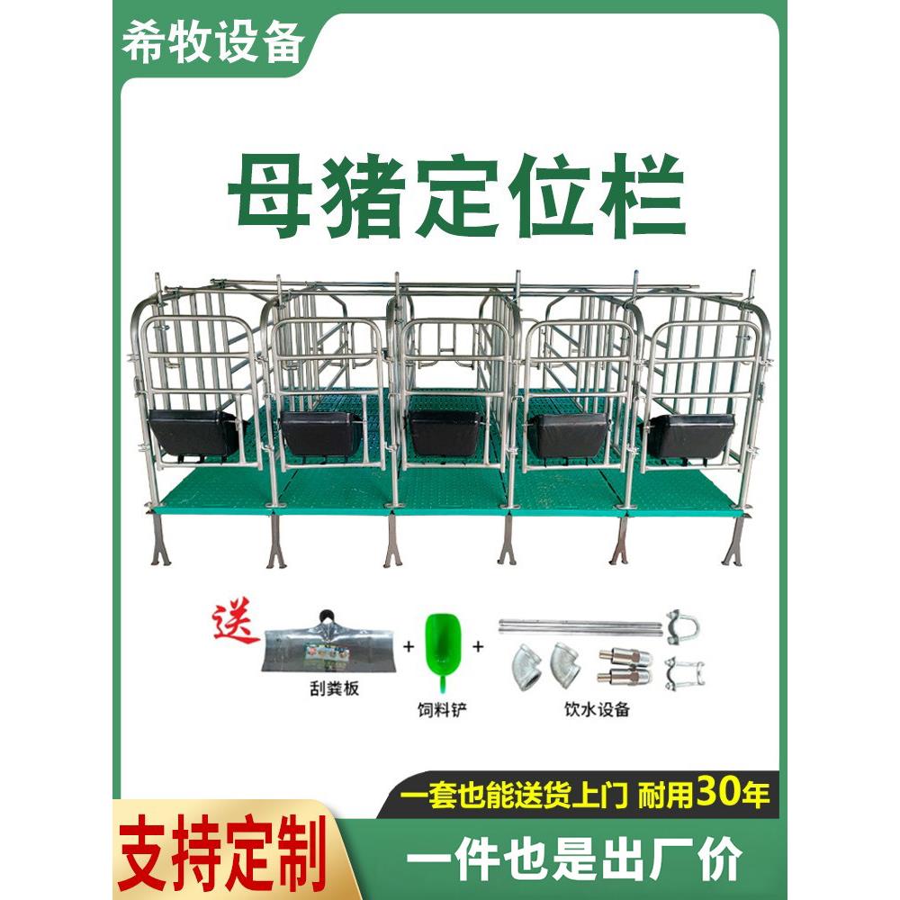 母猪定位栏限位栏产保一体产床落地式带漏粪板可定制猪场养殖设备