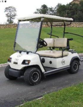 两人座高尔夫球车 LT-A2 高尔夫球场 酒店 景区摆渡车 Golf car