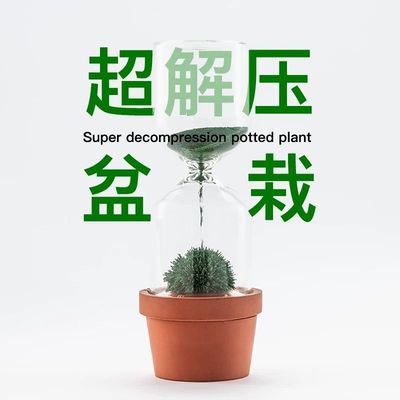 磁力沙漏创意盆栽桌面摆件生日圣诞节男生办公室工位解压