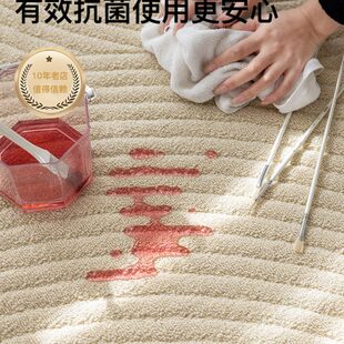 环保无胶水地毯奶油风可擦免洗素色高级防水地垫 地毯客厅2024新款
