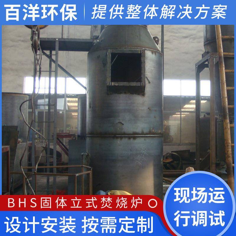 BHS固体立式炉固体处理设备焚烧炉无害固废焚烧炉设备