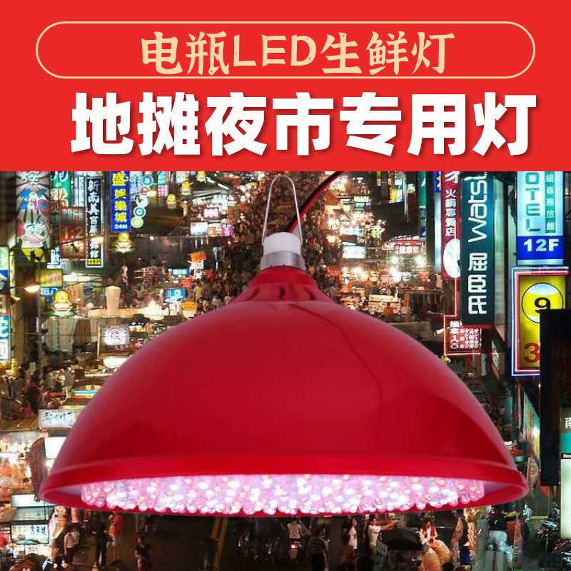 电瓶车灯泡电动车专用12V24V48V夜市摆摊led地摊水果熟食生鲜灯