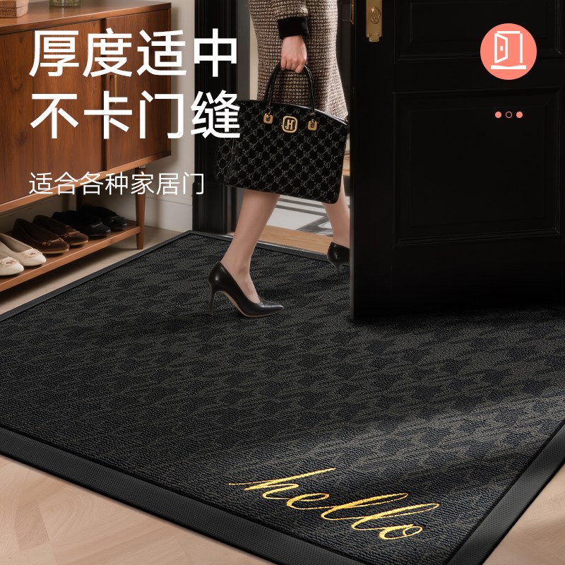玄关入户地垫家用耐脏黑色户外入门地毯门口进门防滑脚垫2025新款