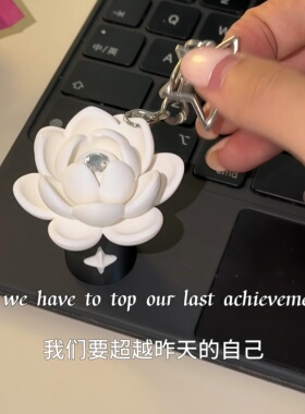 保持平和~荷花鼻通挂件