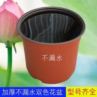加厚软塑料无孔营养钵 双色盆不漏水睡莲盆无洞荷 水培花盆育苗盆
