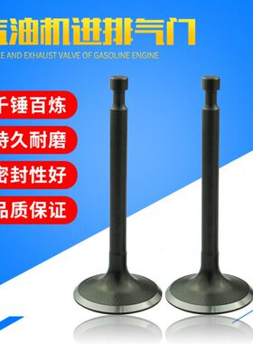 平板 RG汽油发动机进夯抹排气0水泵F  机配件16光7Y门EX240气门20