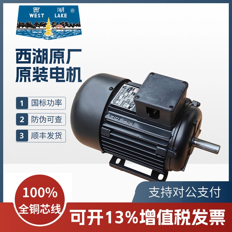 杭州西湖台钻原厂电机YS7m114T YS7124T YS7134T YS-400T YS8036T
