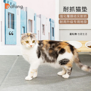 dfang猫垫子睡觉用防水防尿耐咬狗垫子睡垫宠物地垫pvc专用窝冬季