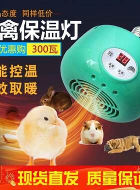 智能温控养殖育雏保温灯家禽保温器取暖灯鸡猪用暖风可调保温灯泡