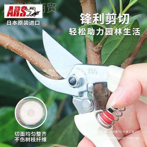 3日本进修枝剪爱丝ARS10DX园HZE艺手剪刀修丽剪粗树枝剪口刀果树