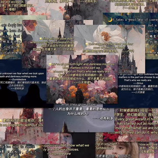 120张哈利波特语录贴纸ins风高颜值文案装 饰手机壳笔记本防水贴画